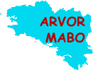 2008 Logo Arvor Mabo 2